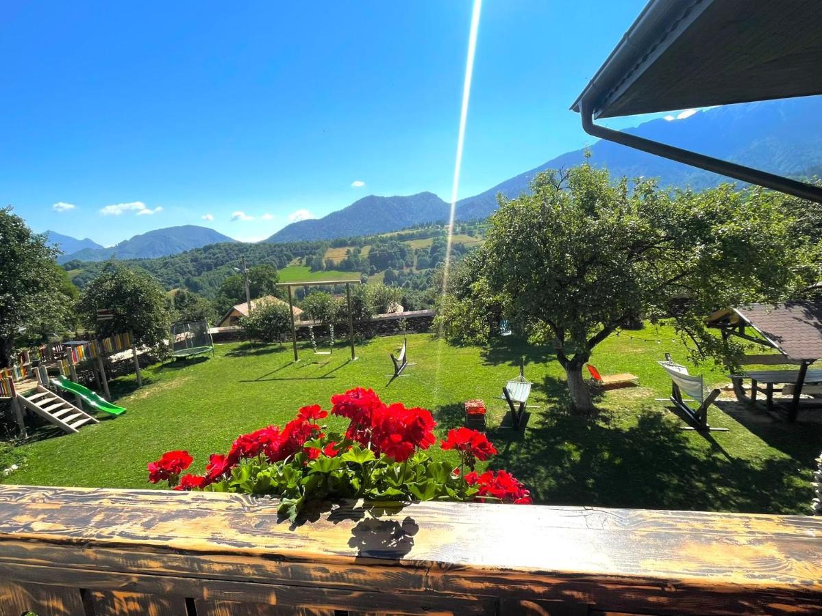 Casa Mesterului Sohodol  Екстериор снимка