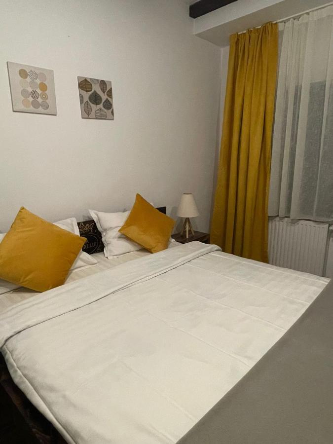 Casa Mesterului Sohodol  Екстериор снимка