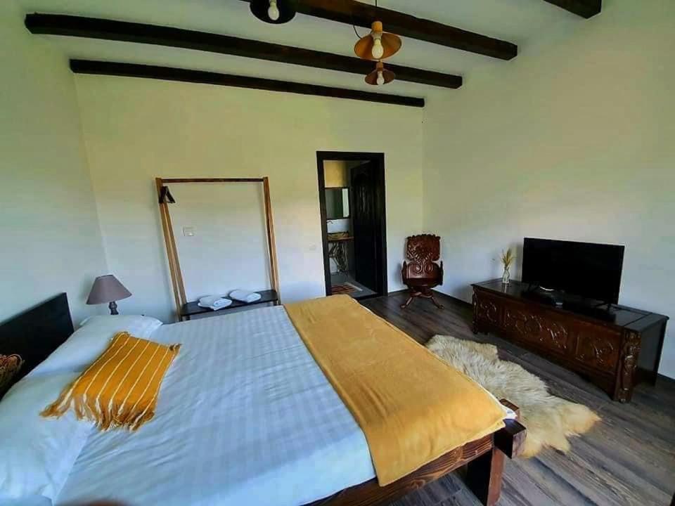 Casa Mesterului Sohodol  Екстериор снимка