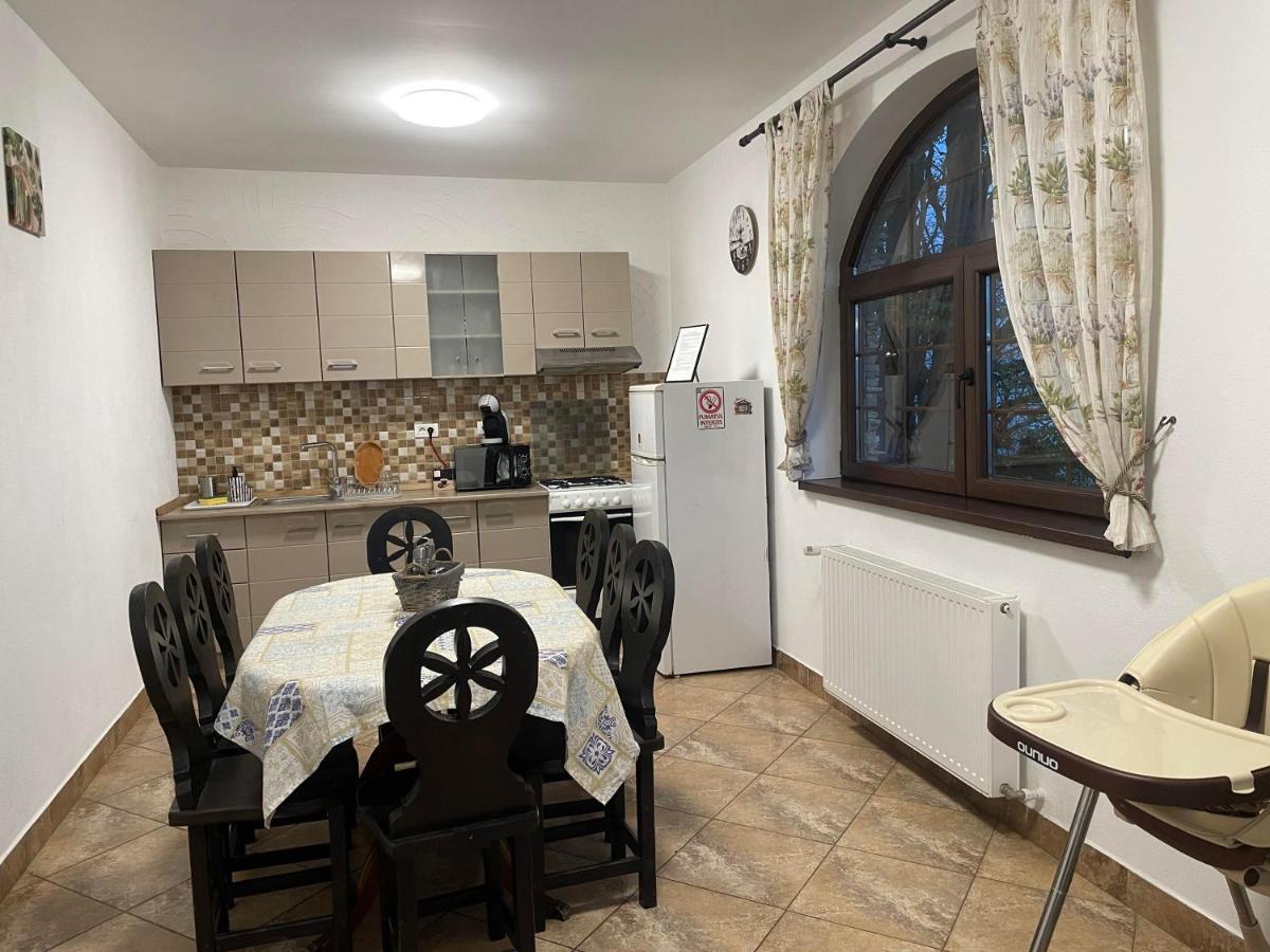 Casa Mesterului Sohodol  Екстериор снимка